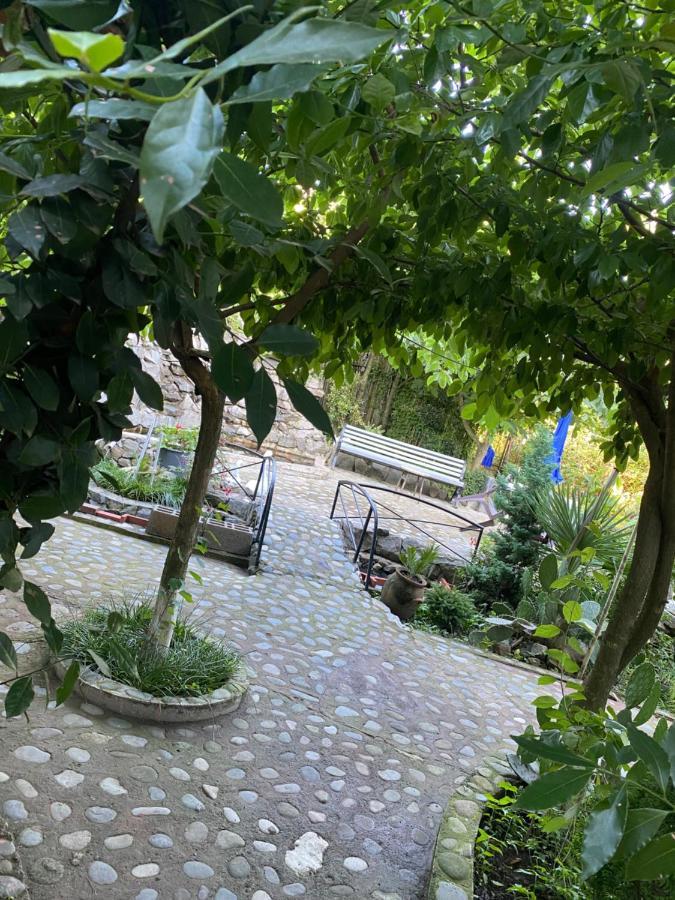 Holiday House Chkonia Hotel Batumi Bagian luar foto