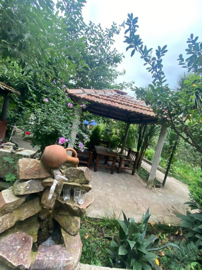 Holiday House Chkonia Hotel Batumi Bagian luar foto