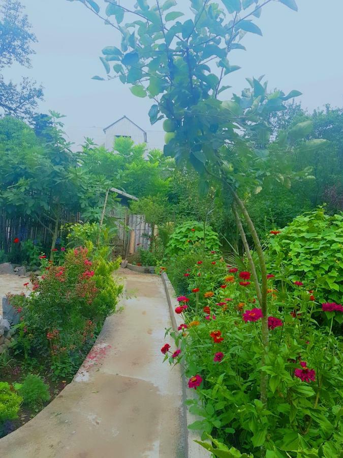 Holiday House Chkonia Hotel Batumi Bagian luar foto